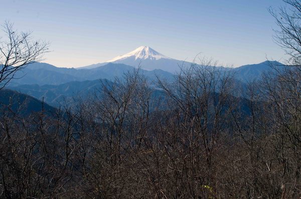 権現山山頂からの富士.jpg